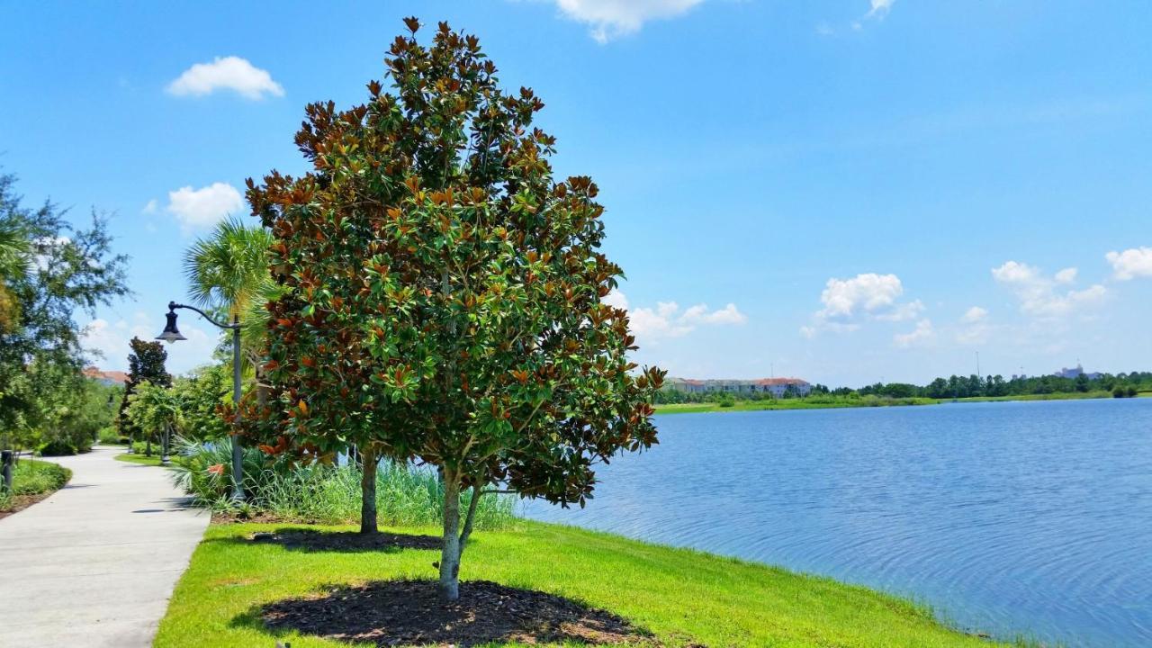 4804 Cayview Ave #105 Βίλα Ορλάντο Εξωτερικό φωτογραφία
